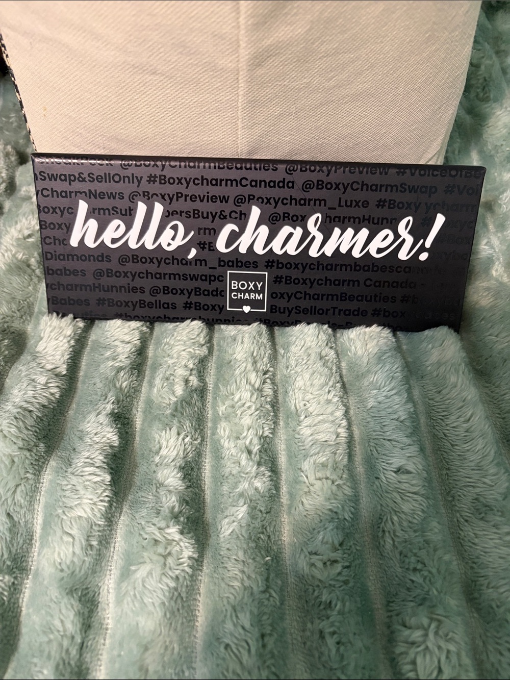 Hello, Charmer! Eyeshadow palette